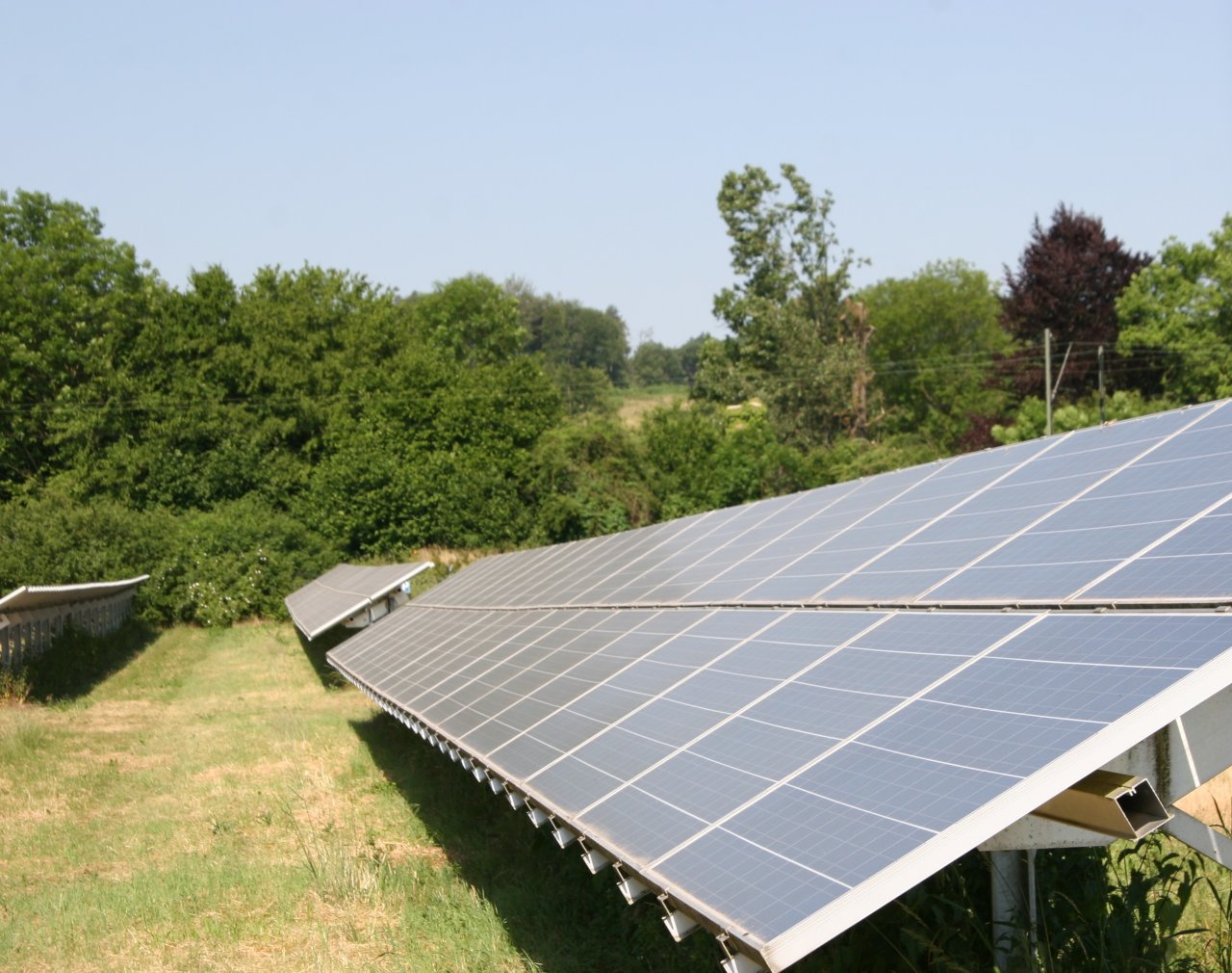 Oldenburg: 5 ha für Windpark zu verpachten 