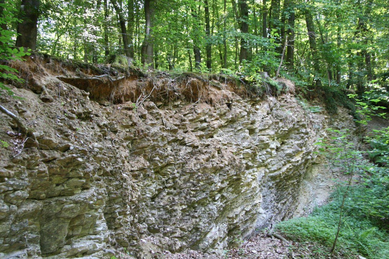 Koblenz: Musteranzeige 